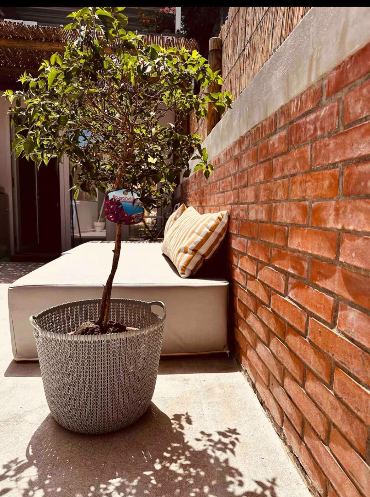 Casa Capri Mores ภายนอก รูปภาพ